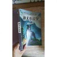 【二手8成新】动物小说王国·沈石溪自选外精品·神犬小宾果 9787556218523