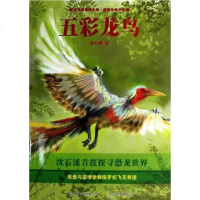[二手8成新]五彩龙鸟 9787115302045