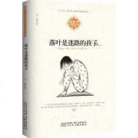 [二手8成新]暖暖心儿童成长关怀小说(第二辑):落叶是迷路的孩子 9787531562474