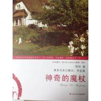 [二手8成新]神奇的魔杖 9787534682001