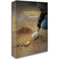 [二手8成新]牙璋与国家起源 9787030591883