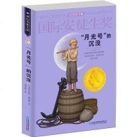 [二手8成新]“月光号”的沉没 9787542240729