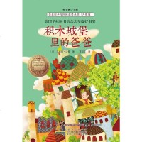 [二手8成新]积木城堡里的爸爸(升级版) 9787539778990