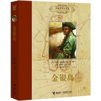 [二手8成新]金银岛 9787544824477