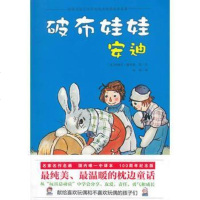 【二手8成新】破布娃娃安迪 9787545511109