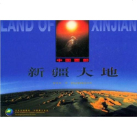 [二手8成新]新疆大地 9787503219979