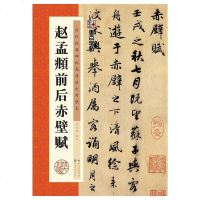 [二手8成新]赵孟頫前后赤壁赋 9787539489704