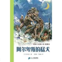 [二手8成新]阿尔卑斯的猛犬 9787539150666
