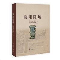 [二手8成新]襄阳陈坡 9787030386120