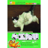 [二手8成新]牛猫加菲 9787505414006