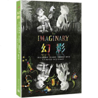 [二手8成新]幻影 9787020116492