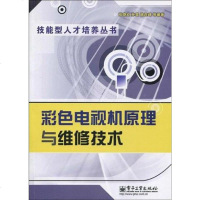 【二手8成新】彩色电视机原理与维修技术 9787121100093
