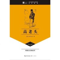 [二手8成新]高老头 9787540324995