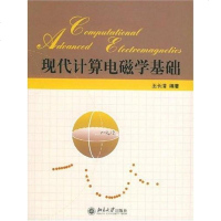 [二手8成新]现代计算电磁学基础 9787301080962