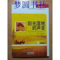 [二手8成新][二手9成新]阳光落地的声音袁浩花山文艺出版社 9787551110419