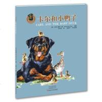 [二手8成新]卡尔和小鸭子 9787534987137