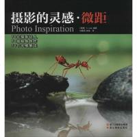 [二手8成新]摄影的灵感 9787551405898