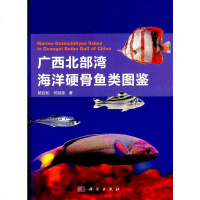 [二手8成新]广西北部湾海洋硬骨鱼类图鉴 9787030452207