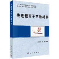 [二手8成新]先进锂离子电池材料 9787030448934