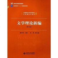 【二手8成新】文学理论新编（第4版） 9787303191475