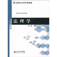 [二手8成新]法理学 9787303109012