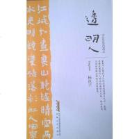 [二手8成新]透明人 9787539643663