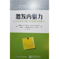 [二手8成新]激发内驱力 9787121299254