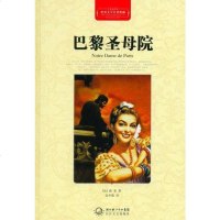 [二手8成新]巴黎圣母院 9787535450135