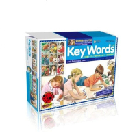【二手8成新】快乐瓢虫双语童书·Key Words 9787303107445