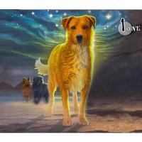 [二手8成新]狗武士1:绝境重生 9787514817584