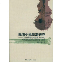 [二手8成新]晚清小说低潮研究 9787516140635