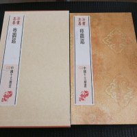 [二手8成新]法书至尊·国十大楷书03:瘗鹤铭 9787547914151
