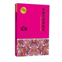 [二手8成新]爱丽丝漫游仙境 9787534962738