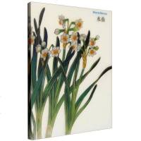 [二手8成新]祝大年经典笔记系列:水仙 9787546146553