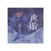 [二手8成新]国原创图画书:夜游 9787507226256