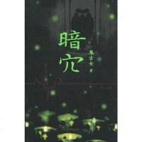 [二手8成新]暗穴 9787020061952