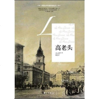 【二手8成新】高老头 9787540756185