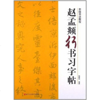 [二手8成新]赵孟頫行书习字帖 9787534030949