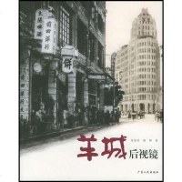 [二手8成新]羊城后视镜 9787218046747