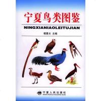 [二手8成新]宁夏鸟类图鉴 9787227036425