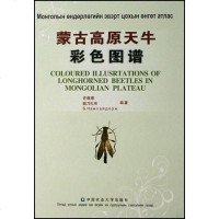 [二手8成新]蒙古高原天牛彩色图谱 9787811171884
