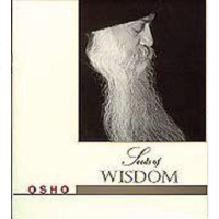 [二手8成新][二手9成新]沙的智慧 9787806162118