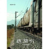 [二手8成新]远游书 9787535555120