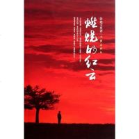 [二手8成新]燃烧的红云 9787506359092