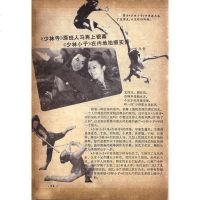 [二手8成新]少林小洪拳-附送口袋本与VCD影碟 9787535035714