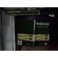 [二手8成新][二手正版9成新]国电话磁卡总图录/张继新光明日报出版社 9787800919879