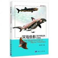 [二手8成新]深海鱼影 9787030352484