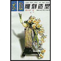 [二手8成新]水仙雕刻造型 9787533518769