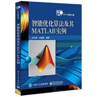 [二手8成新]智能优化算法及其MATLAB实例 9787121296161