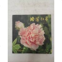 [二手8成新][二手旧书9成新]洛阳牡丹9787540107970